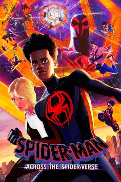 SpiderMan Across the SpiderVerse poster