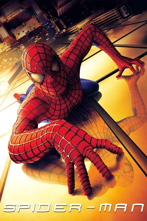 SpiderMan poster